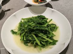 -羊门客在·烤盐池滩羊·川菜