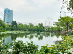 -无锡蠡湖国家湿地公园-蠡园