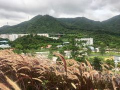 -白石龙音乐公园