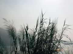 景点-羚羊峡古栈道森林公园