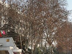 -陕西师范大学(雁塔校区)