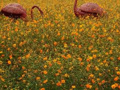 -兰陵国家农业公园