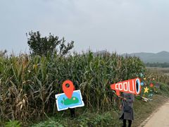 -柳沟豆腐宴69号福豆堂