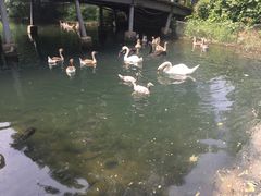 -长白岛森林公园