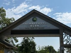 -中国大熊猫保护研究中心雅安碧峰峡基地