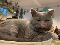 -小时光咖啡馆(北锣鼓巷店)