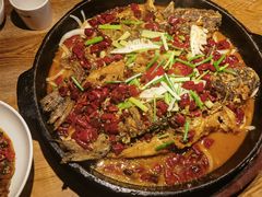 -老板恋上鱼(高新万达店)