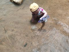 -广州白江湖森林公园