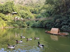 -青青世界