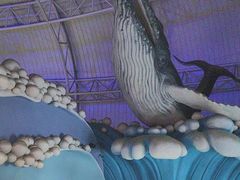 -烟台海昌鲸鲨海洋公园