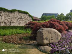 -嘉定紫藤园
