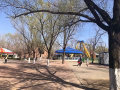 -朝阳公园游乐园