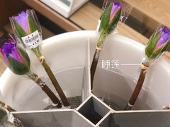 -鹿岛会员店 (龙湖三千集天街店)