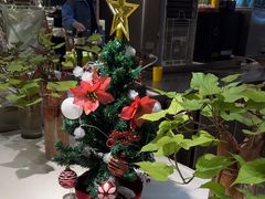 -昆山裕元花园酒店·温莎西餐厅