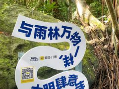 -呀诺达热带雨林