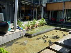 -大理老字号·舟渔的鱼野生菌海景餐厅(双廊店)