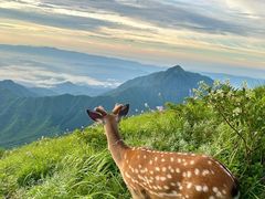 -萍乡武功山风景名胜区
