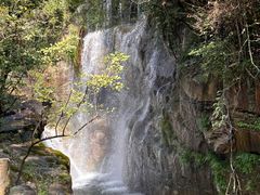 -大鄣山卧龙谷景区