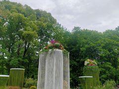 -上海共青森林公园