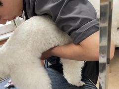 -宠福鑫动物医院·动物疾病诊疗中心(天通苑店)