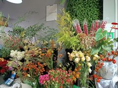 -何兮花店·气球派对鲜花店(马桥银春路万科城店)