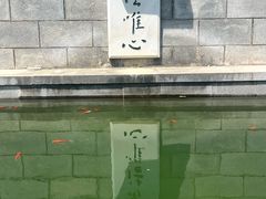 -横山寺