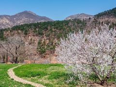 -里口山风景名胜区