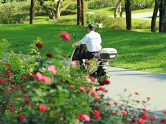 -人民公园(罗湖区)