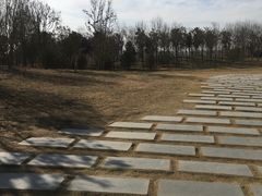 -象湖生态湿地公园