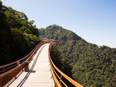 -少华山国家森林公园