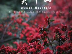 -莫干山风景区