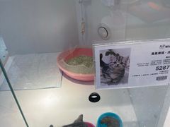 -龟与熊猫宠物公园(南坪店)