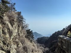 -泰山风景名胜区