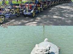 -昆山城市生态森林公园