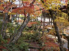 -常寂光寺