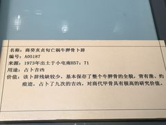 -安阳博物馆