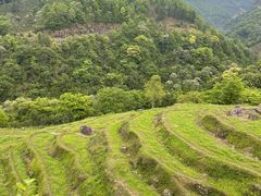 -石台牯牛降景区