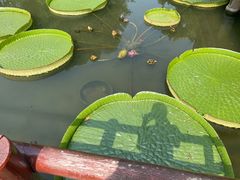 -上海滨江森林公园