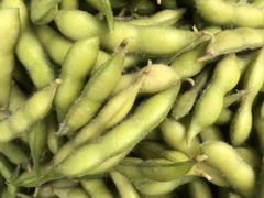 -兆辉木炭海鲜烧烤·海鲜小炒