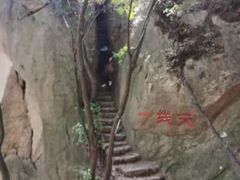 -六里坪国家森林公园