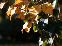 -西安市长乐公园