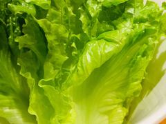 生菜-唯成•韩国炭火烤肉 유성고기