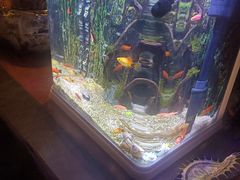 -若石足道SPA 连锁(丹东街店)