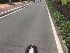 -碧桂园十里银滩