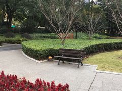 -徐家汇源景区-衡山公园
