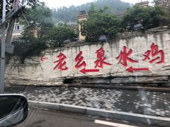 -老幺泉水鸡