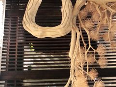 -江仙雅居(中航国际店)