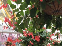 -广州花之恋城堡酒店