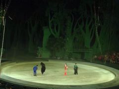 -灵玲国际马戏城