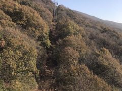 -紫金山索道-售票处